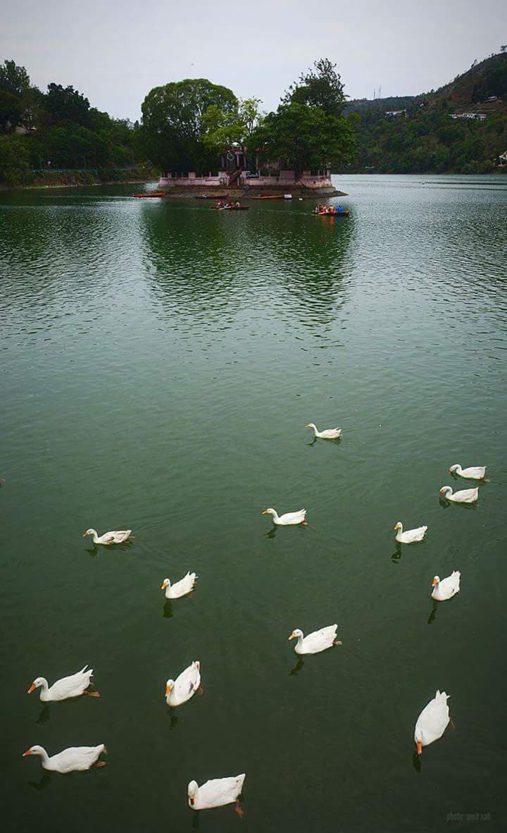 Bhimtal Lake & Bhimeshwar Mahadev