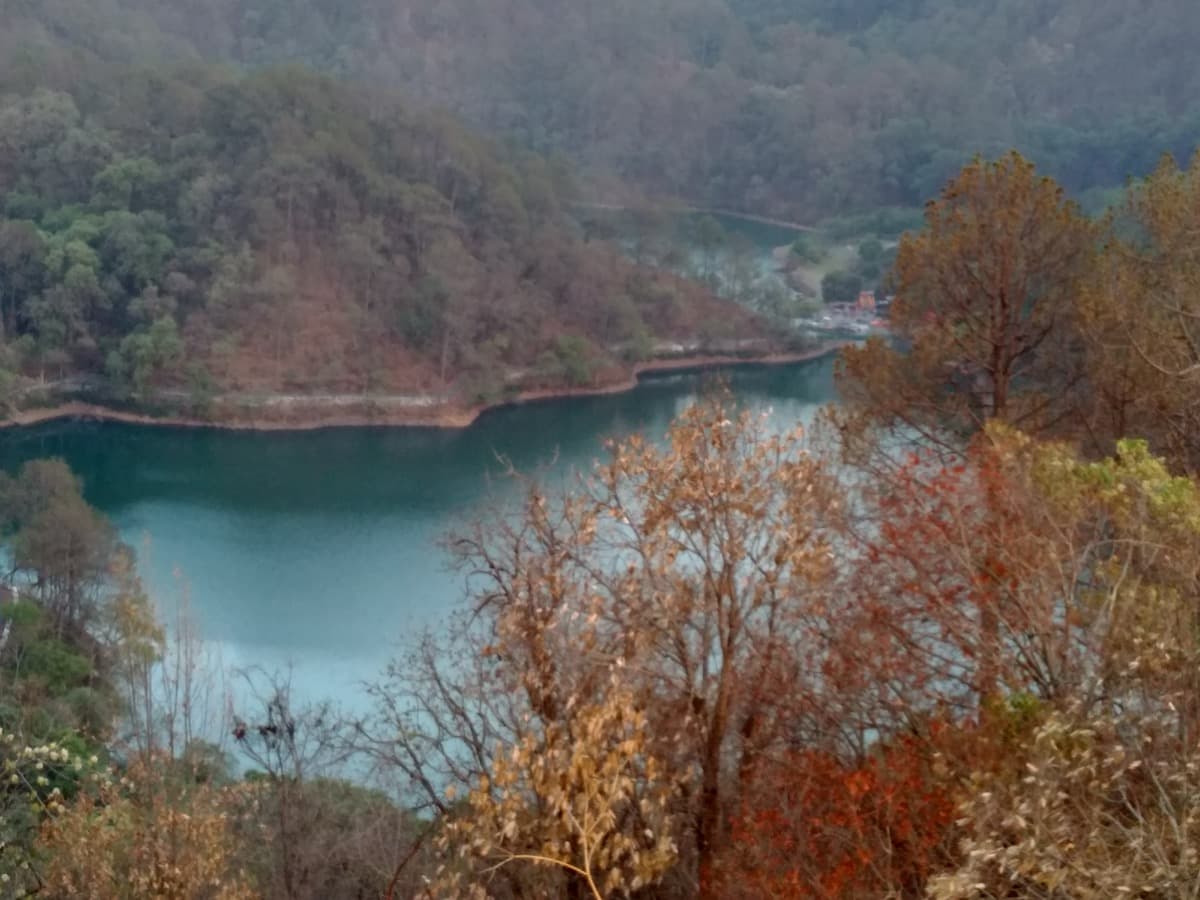 Ranikhet & Chaubatia Apple Orchards